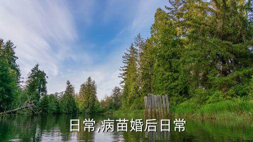 婚后日常,病苗婚后日常