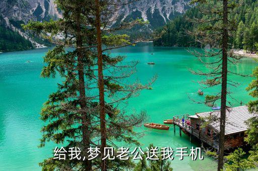 给我,梦见老公送我手机