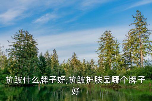 抗皱什么牌子好,抗皱护肤品哪个牌子好