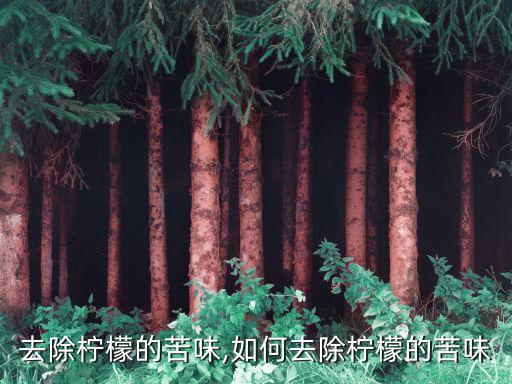怎么去除柠檬的苦味,如何去除柠檬的苦味