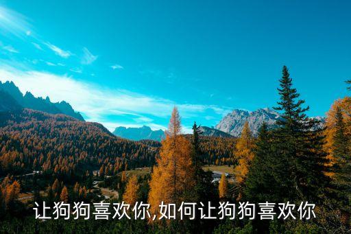 怎么让狗狗喜欢你,如何让狗狗喜欢你?