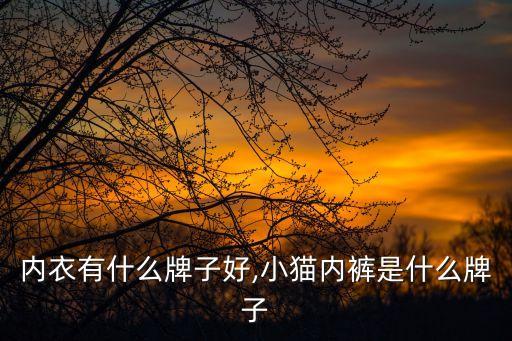 猫咪内衣有什么牌子好,小猫内裤是什么牌子?