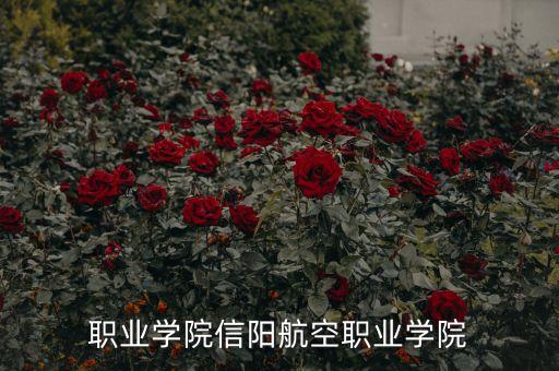 航空职业学院信阳航空职业学院