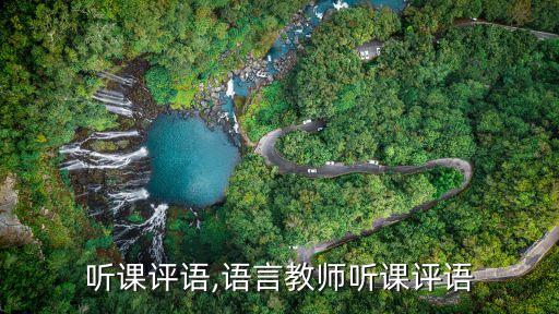 听课评语,语言教师听课评语