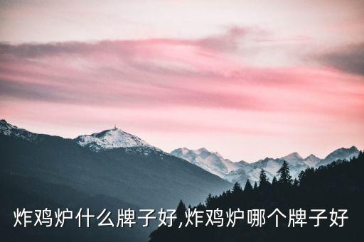 专业炸鸡炉什么牌子好,炸鸡炉哪个牌子好?
