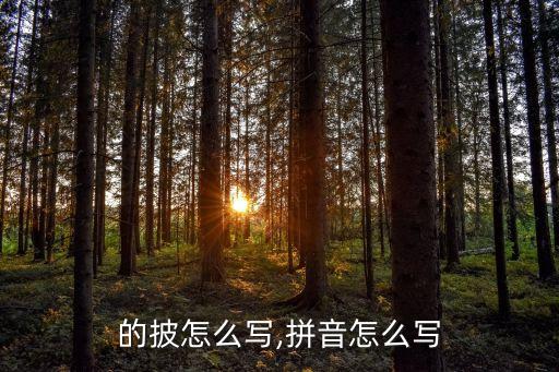的披怎么写,拼音怎么写