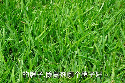 喷雾的牌子,除臭剂哪个牌子好?