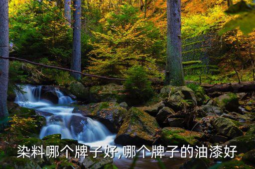 染料哪个牌子好,哪个牌子的油漆好