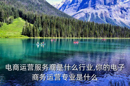 专业电商运营服务商是什么行业,你的电子商务运营专业是什么?