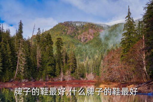 牌子的鞋最好,什么牌子的鞋最好