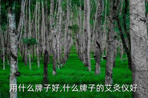 仪器用什么牌子好,什么牌子的艾灸仪好?