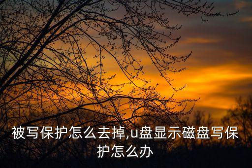 被写保护怎么去掉,u盘显示磁盘写保护怎么办