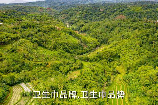 国产卫生巾品牌,卫生巾品牌