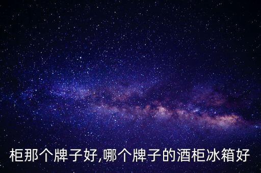 柜那个牌子好,哪个牌子的酒柜冰箱好