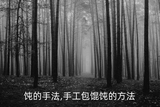饨的手法,手工包馄饨的方法