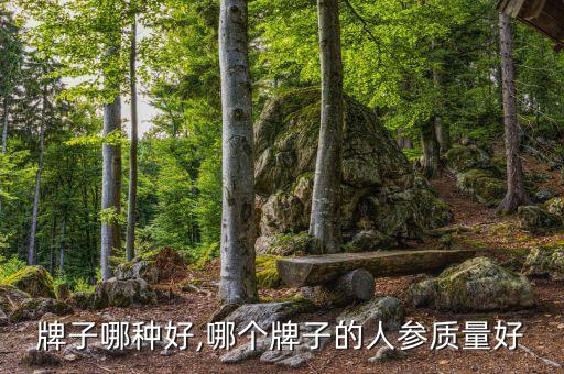 人参牌子哪种好,哪个牌子的人参质量好?