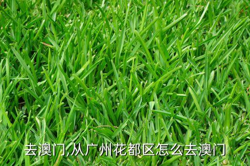 去澳门,从广州花都区怎么去澳门