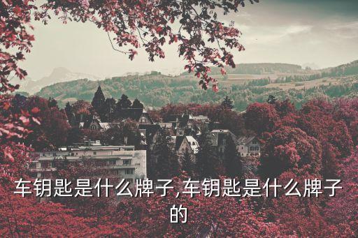 红色车钥匙是什么牌子,车钥匙是什么牌子的?