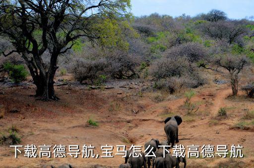下载高德导航,宝马怎么下载高德导航