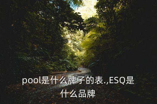 expool是什么牌子的表.,ESQ是什么品牌?