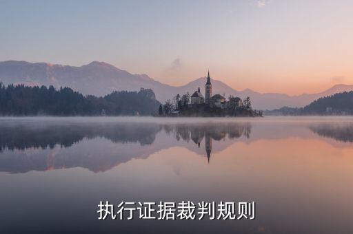执行证据裁判规则