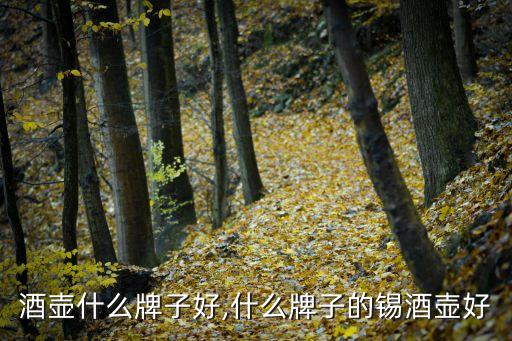 酒壶什么牌子好,什么牌子的锡酒壶好