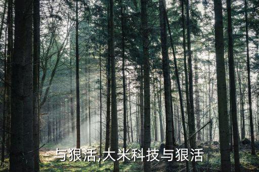 科技与狠活,大米科技与狠活