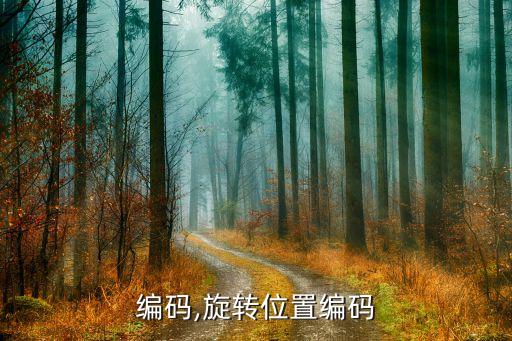 编码,旋转位置编码