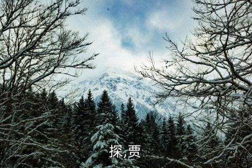 灵侦探,贾