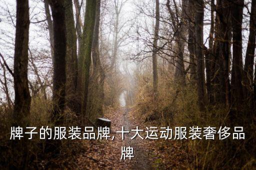 美国牌子的服装品牌,十大运动服装奢侈品牌