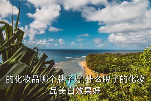 美白的化妆品哪个牌子好,什么牌子的化妆品美白效果好?