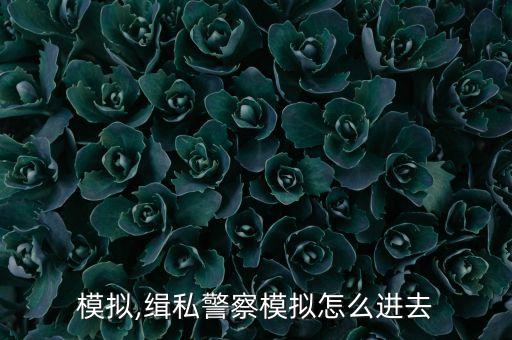 警察模拟,缉私警察模拟怎么进去
