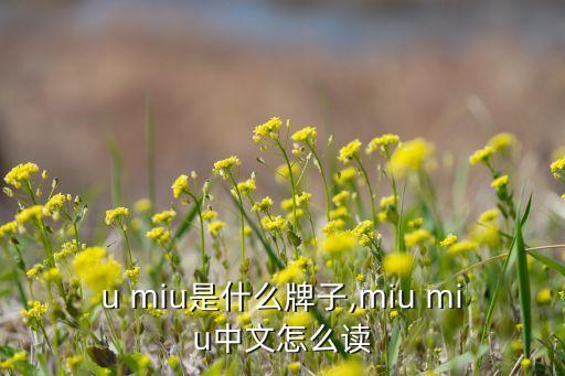 u miu是什么牌子,miu miu中文怎么读