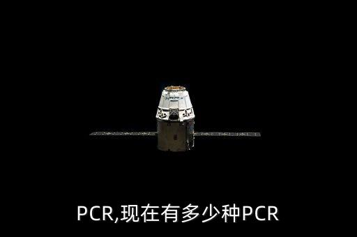 PCR,现在有多少种PCR