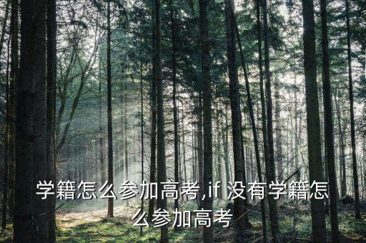 没有学籍怎么参加高考,if 没有学籍怎么参加高考