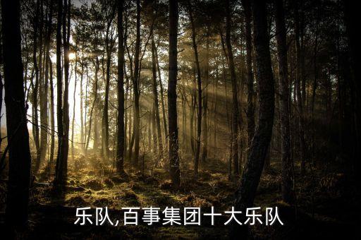 齿轮乐队,百事集团十大乐队