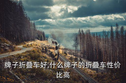 什么牌子折叠车好,什么牌子的折叠车性价比高?