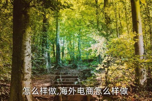 电商怎么样做,海外电商怎么样做