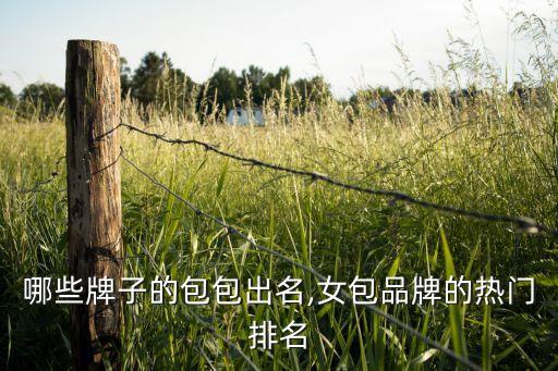 法国哪些牌子的包包出名,女包品牌的热门排名