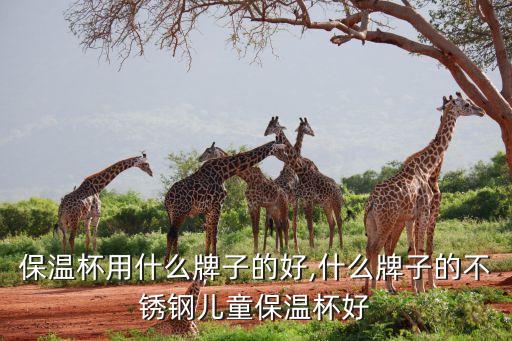 儿童保温杯用什么牌子的好,什么牌子的不锈钢儿童保温杯好?
