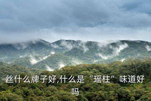 丝什么牌子好,什么是“瑶柱”味道好吗