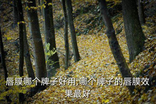 唇膜哪个牌子好用,哪个牌子的唇膜效果最好