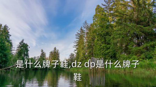 是什么牌子鞋,dz dp是什么牌子鞋