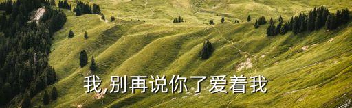爱着我,别再说你了爱着我