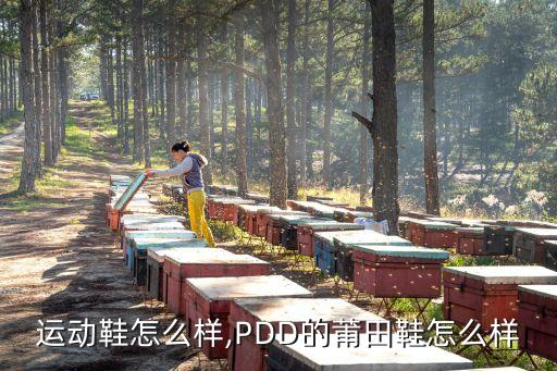 莆田运动鞋怎么样,PDD的莆田鞋怎么样?
