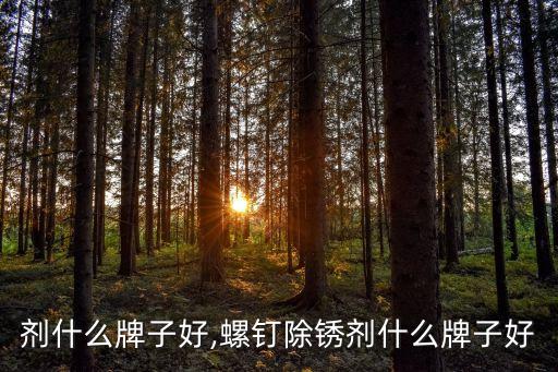 剂什么牌子好,螺钉除锈剂什么牌子好
