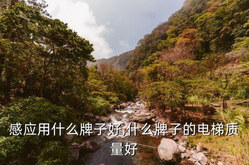 电梯感应用什么牌子好,什么牌子的电梯质量好?