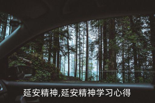 学习延安精神,延安精神学习心得