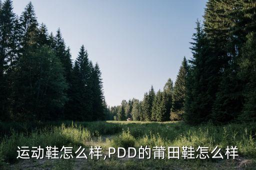 运动鞋怎么样,PDD的莆田鞋怎么样