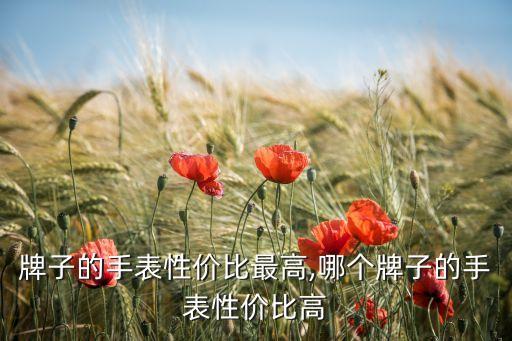 牌子的手表性价比最高,哪个牌子的手表性价比高